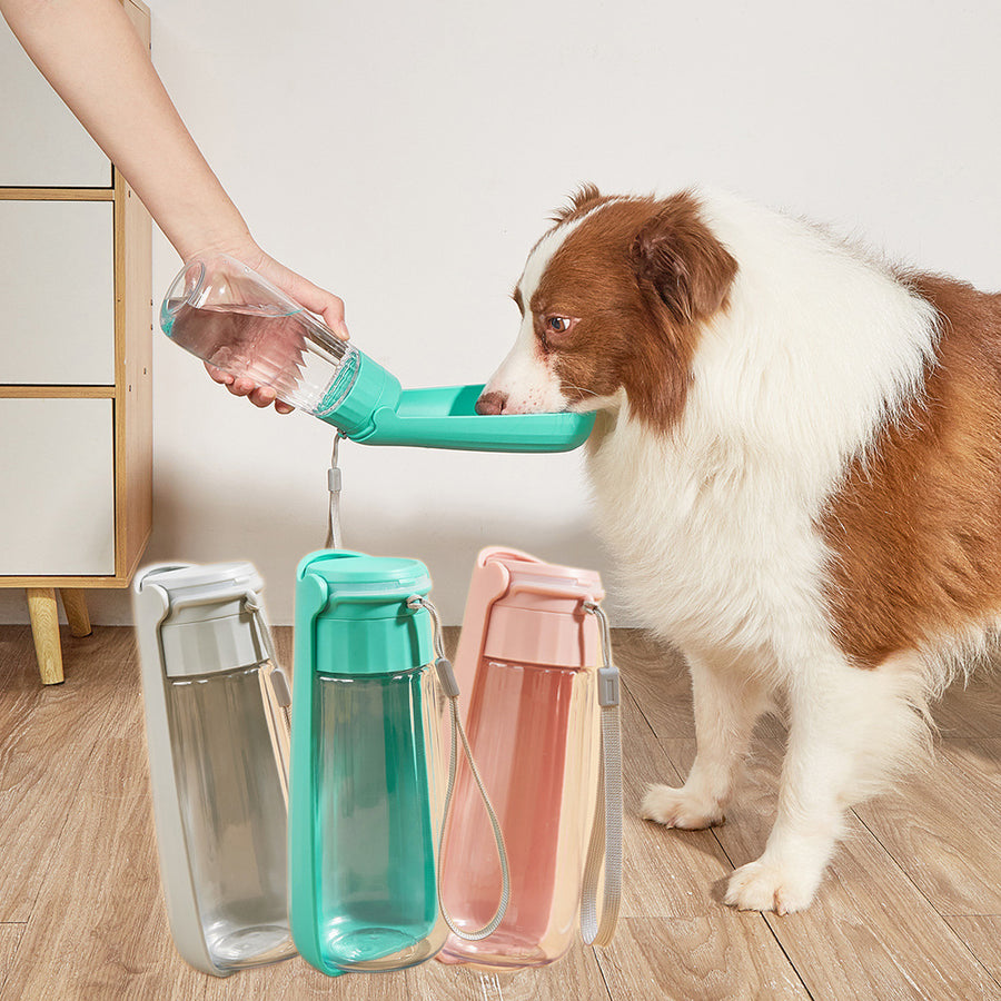 Bebedouro Portátil Pet 550ml – Ideal para Passeios