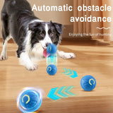 Bola Inteligente Interativa para Pets