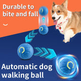 Bola Inteligente Interativa para Pets