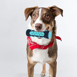 Mordedor Escova de Dentes para Cachorro | Brinquedo Dental que Limpa e Reduz Tártaro